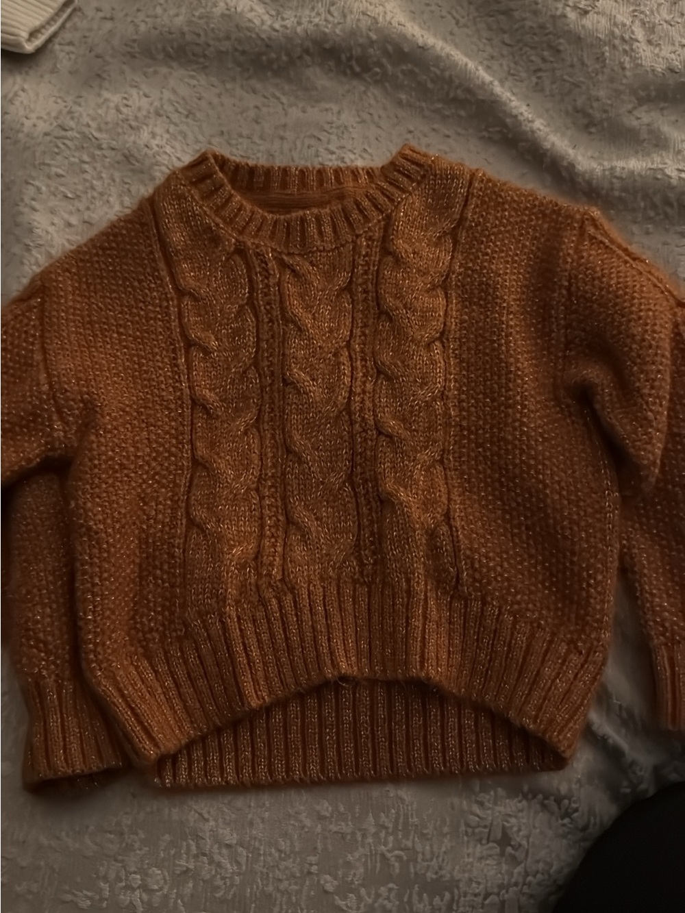 Janie and Jack Cable Knit Sweater in Rusty Orange